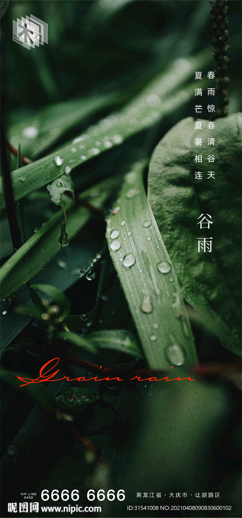 谷雨