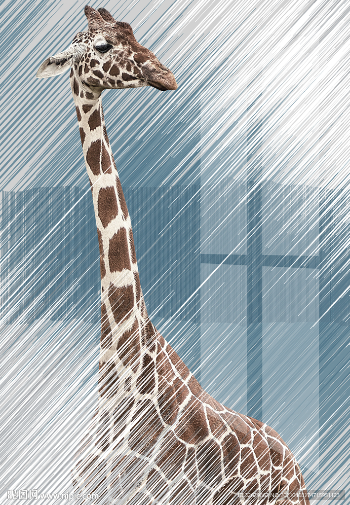 现代抽象线条装饰画挂画长颈鹿