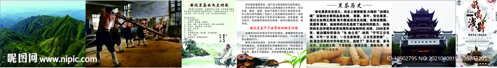 黑茶文化
