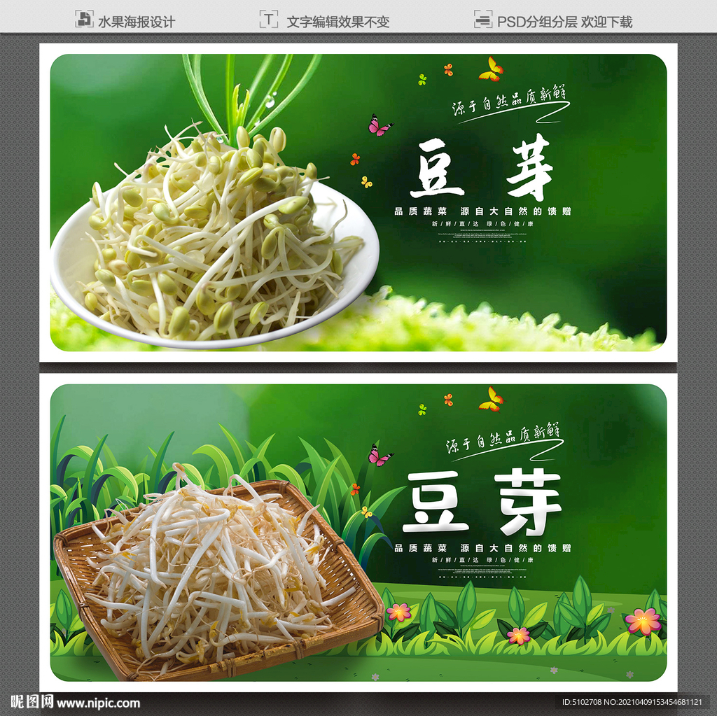 豆芽