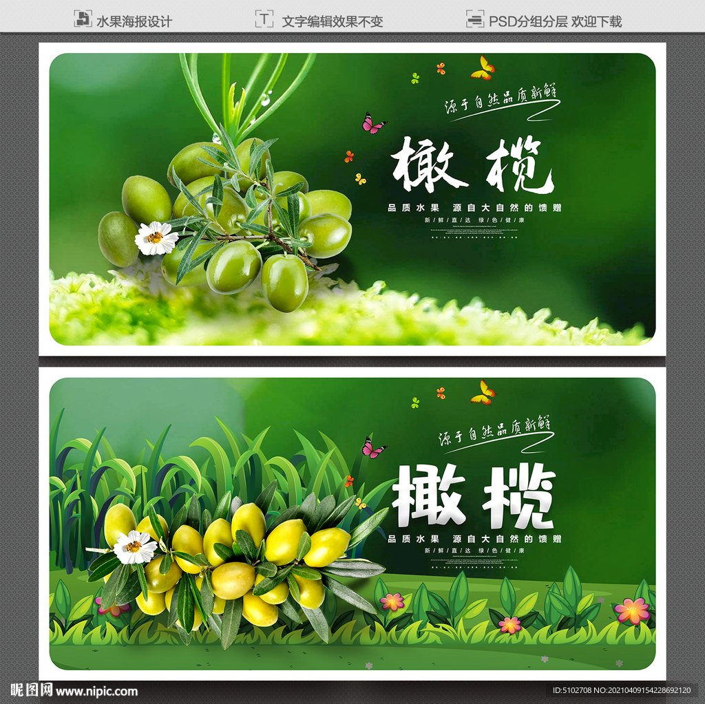 橄榄
