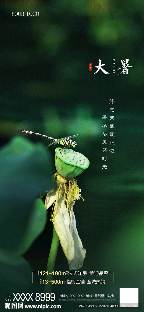 大暑微信稿