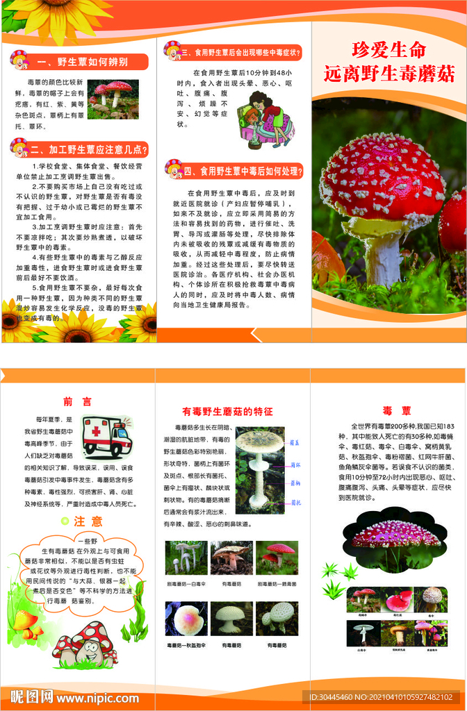 野生菌中毒预防知识