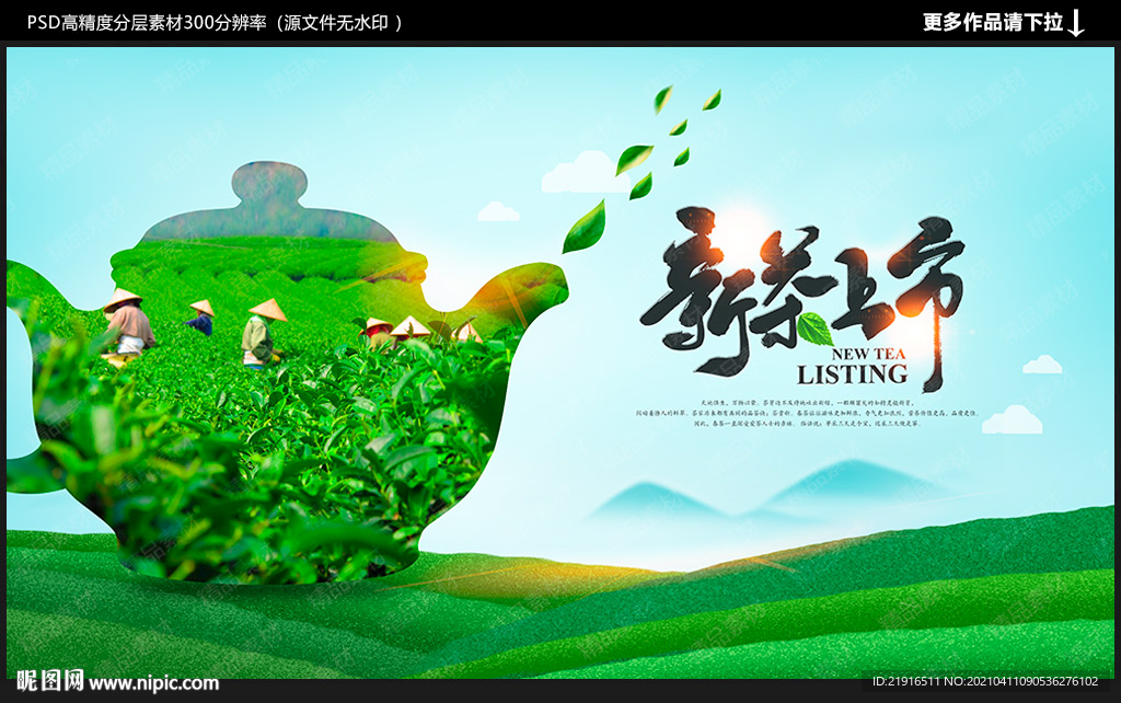 新茶上市