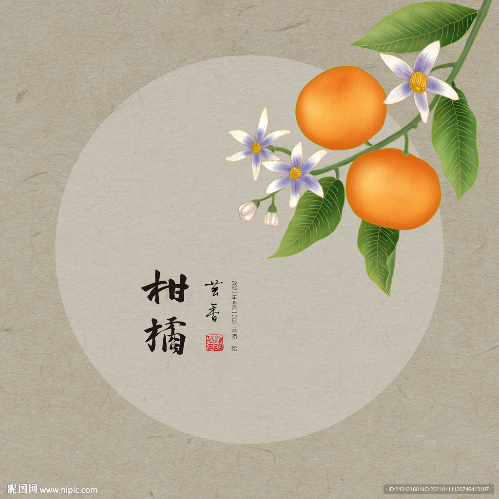 手绘橘子