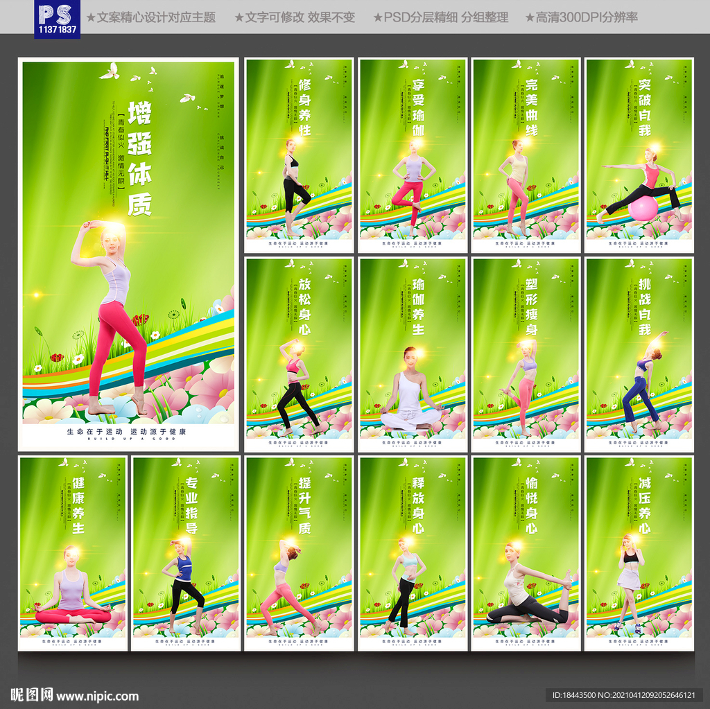 瑜伽展板