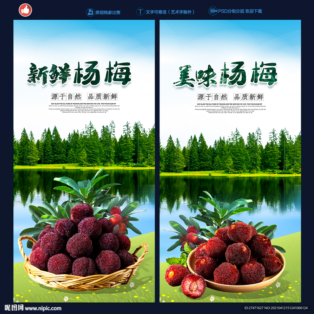 杨梅
