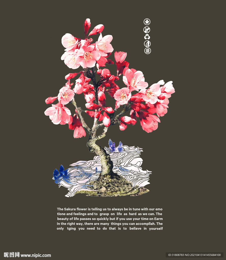樱花