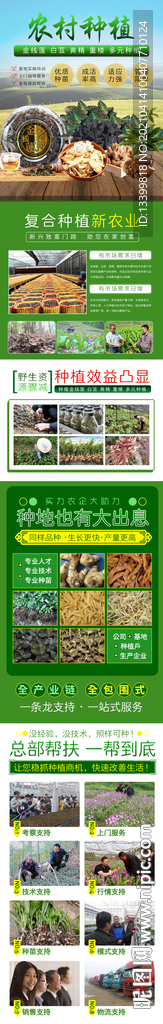 农村种植招商加盟详情页面图片