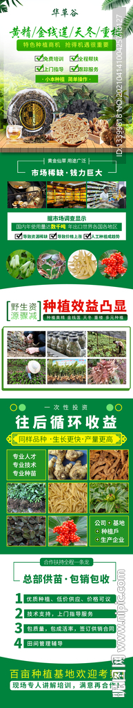 黄精金线莲天冬重楼招商页面