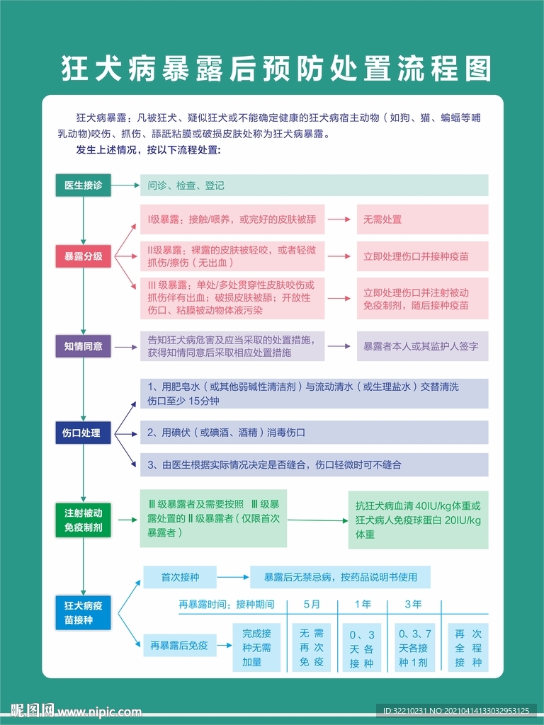 狂犬病暴露后预防处置流程图