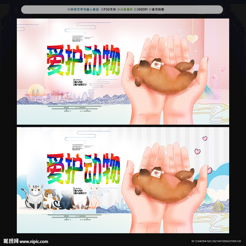 爱护动物