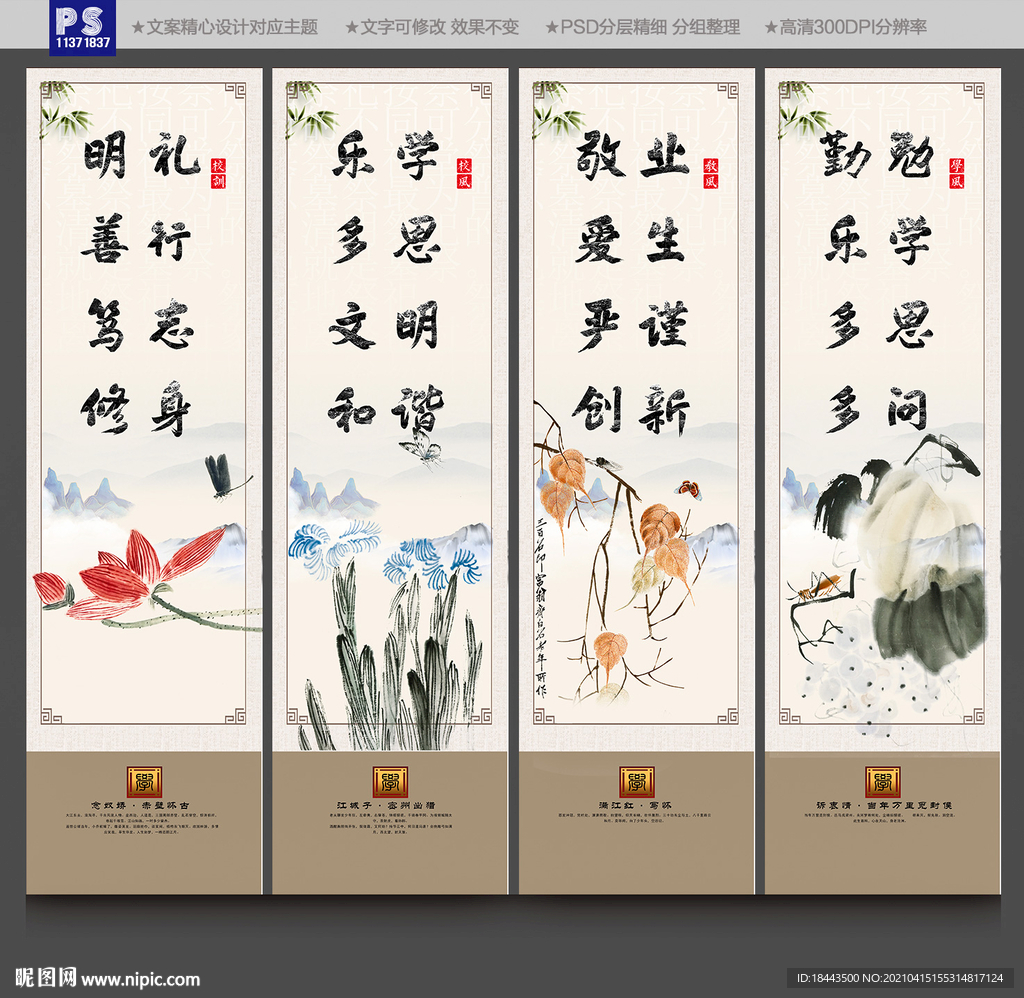 校园展板
