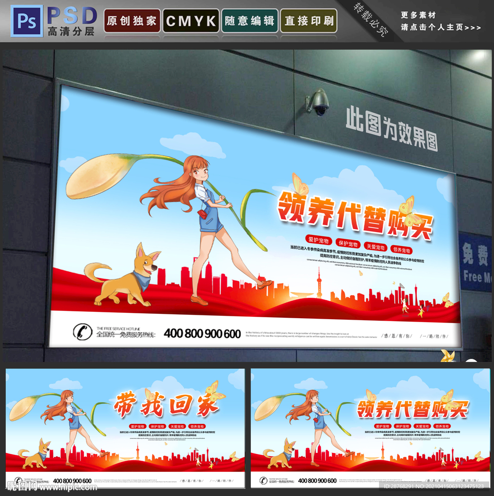 领养代替购买