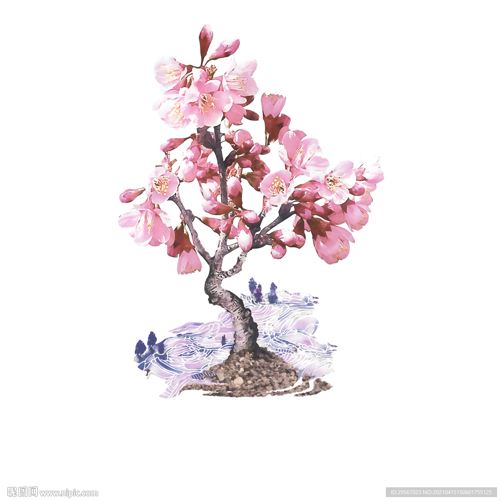 梅花