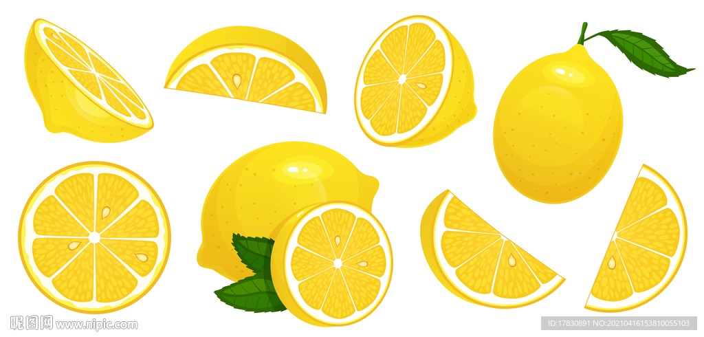 柠檬素描线条线描手绘插画图片