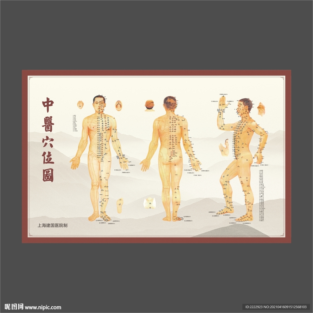 中医穴位图
