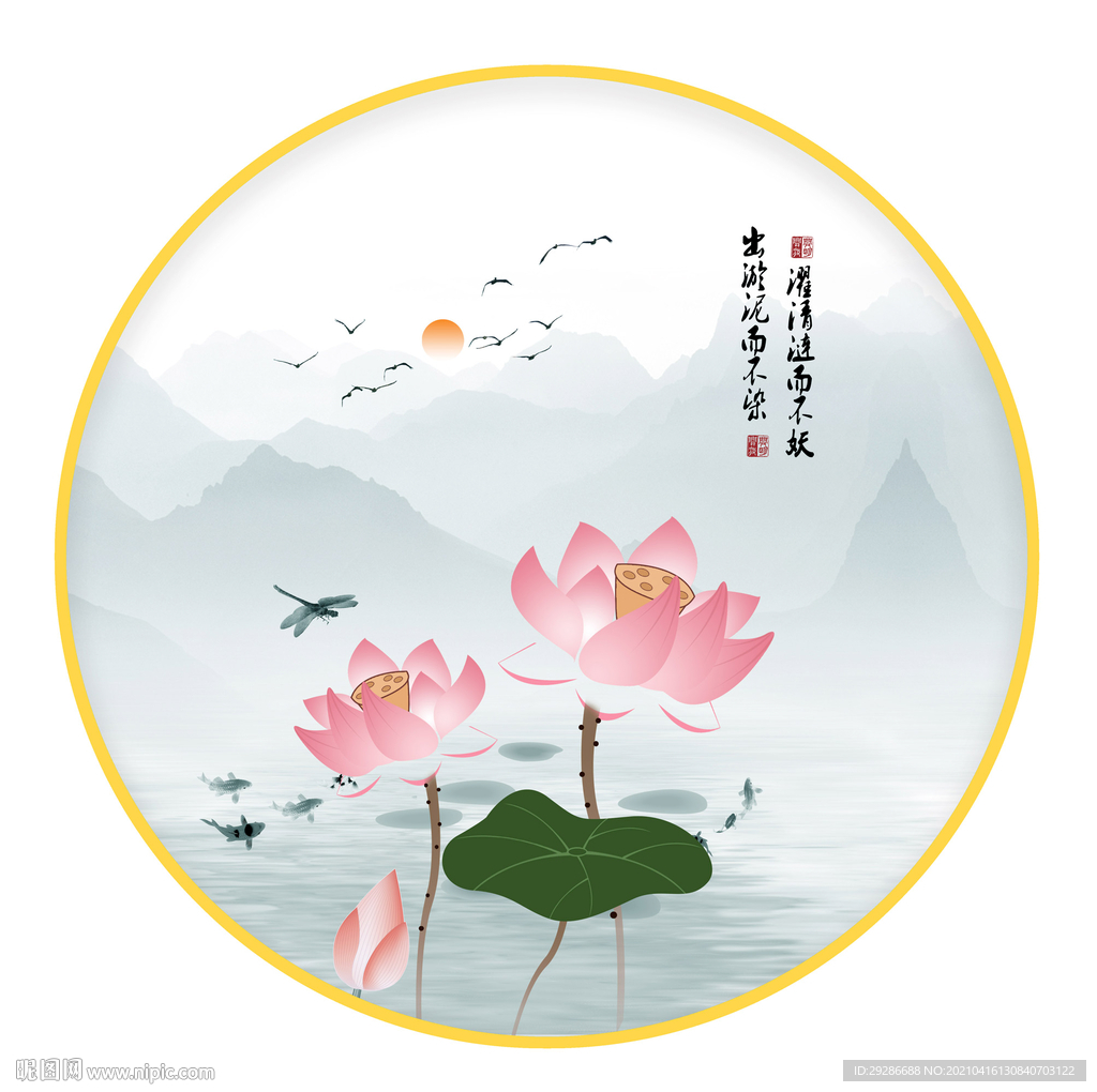 荷花