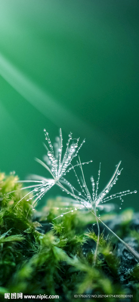 雨水谷雨