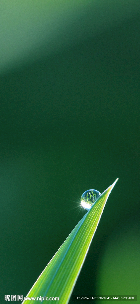 雨水谷雨明媚