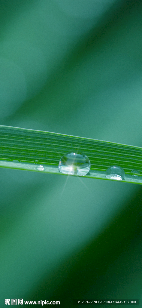 雨水谷雨通透