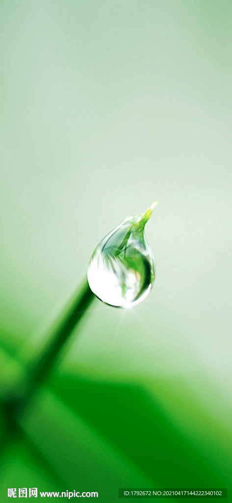 雨水谷雨生机