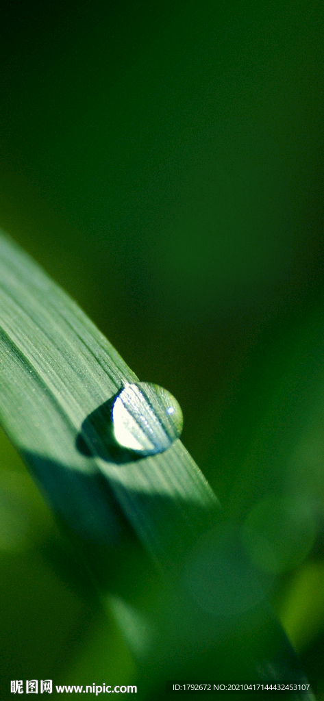 谷雨雨水加LOGO