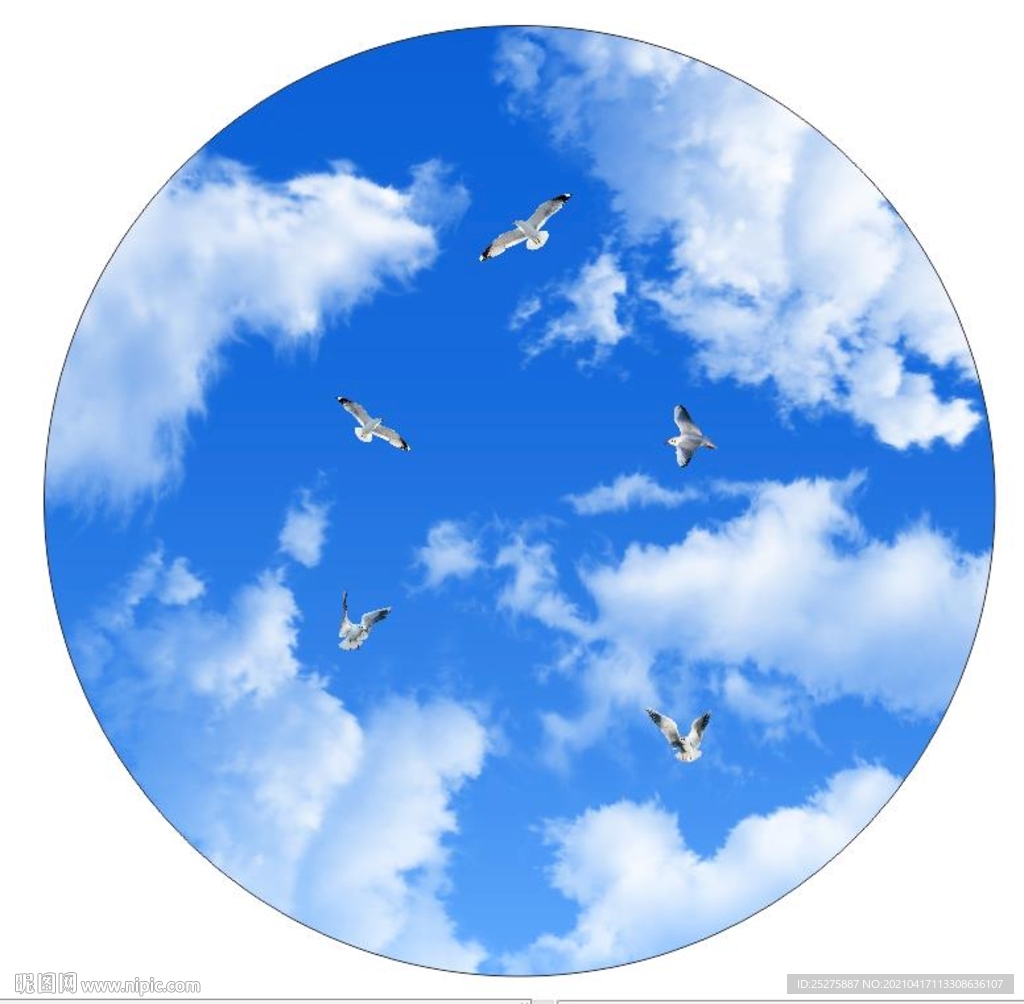 蓝天白云鸽子 圆形