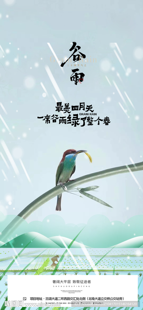 谷雨
