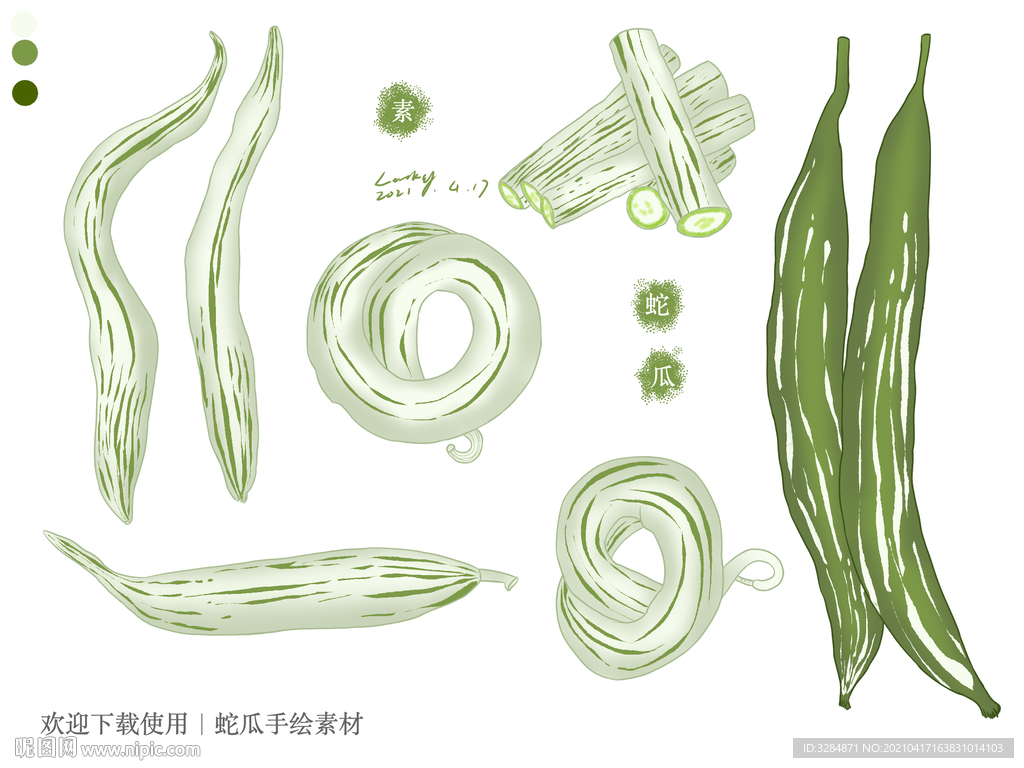 蛇瓜手绘素材
