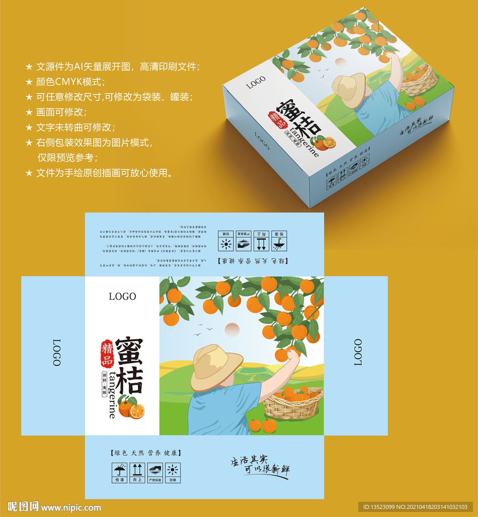 橘子包装 桔子盒子