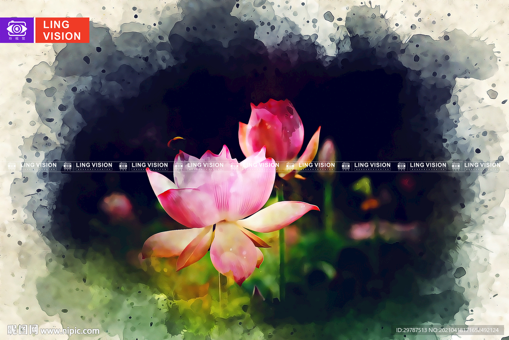 出水芙蓉