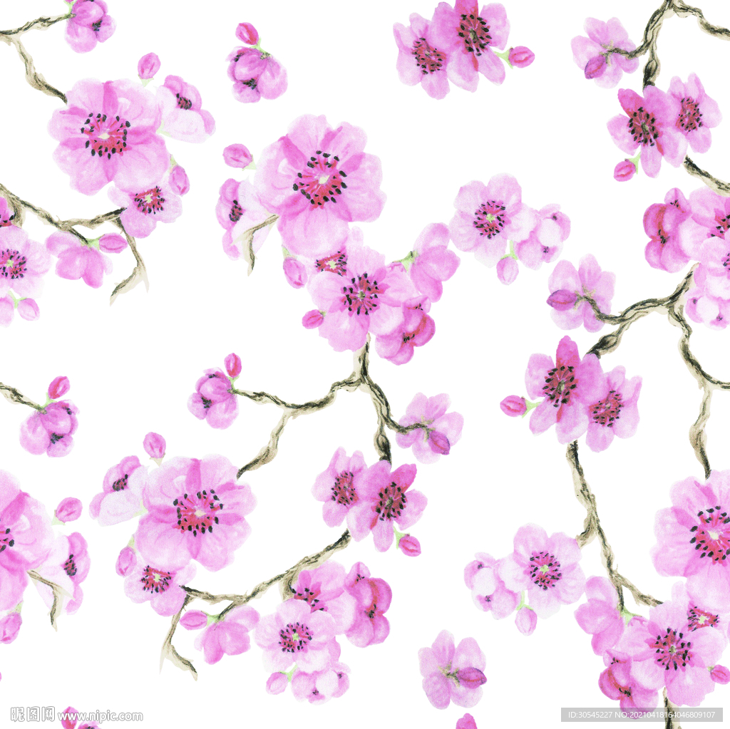 樱花