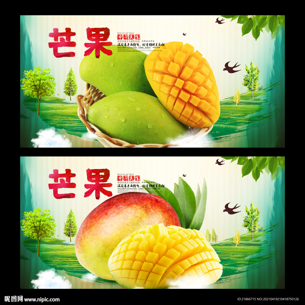 芒果