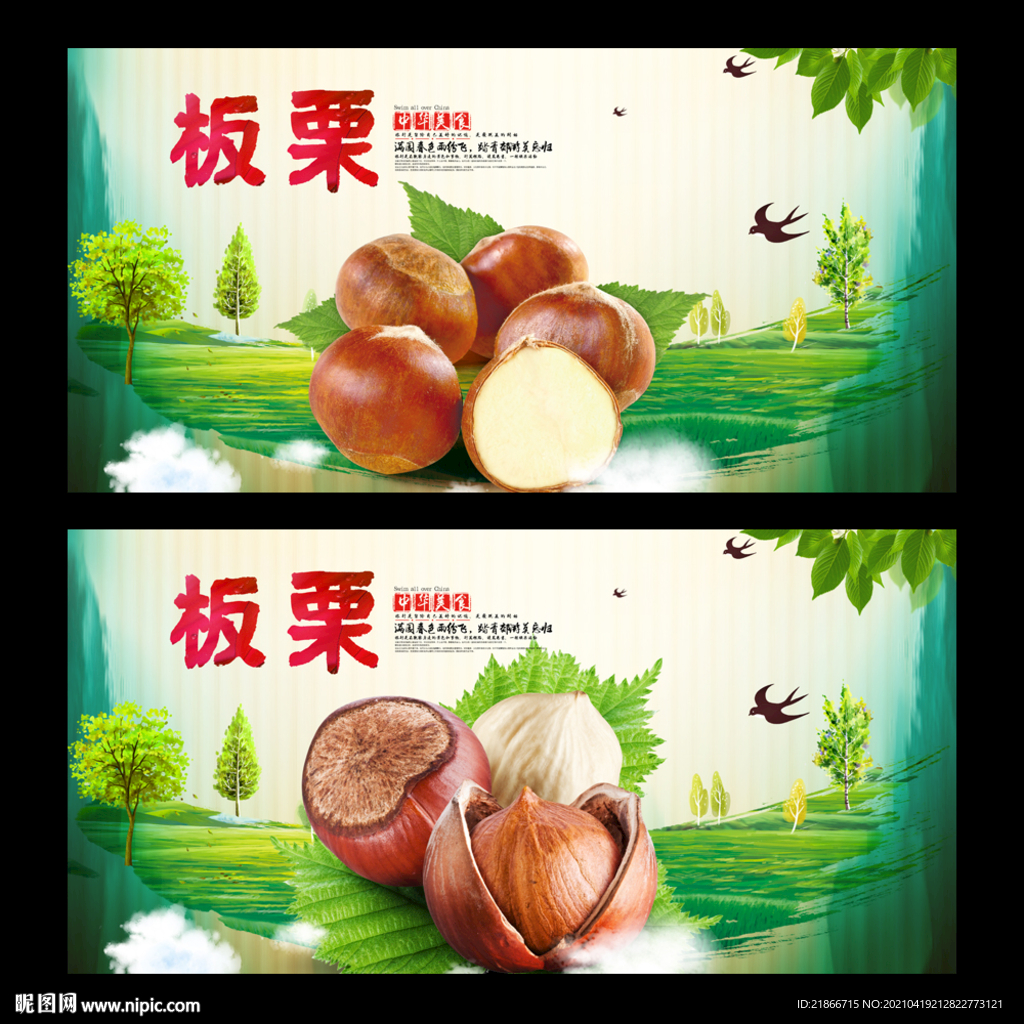 板栗