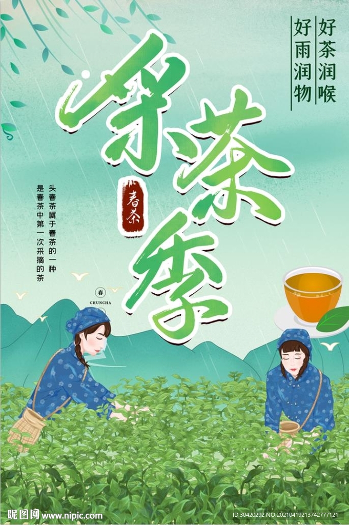 采茶季 茶园