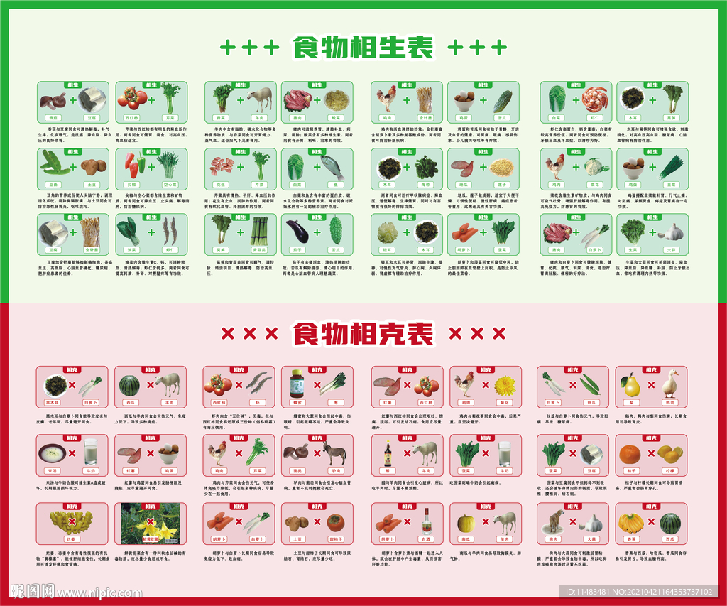 食物相生相克表