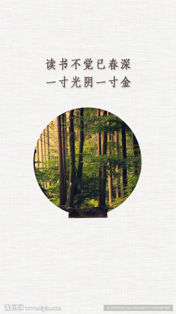 纹理简约海报深林森林背景图
