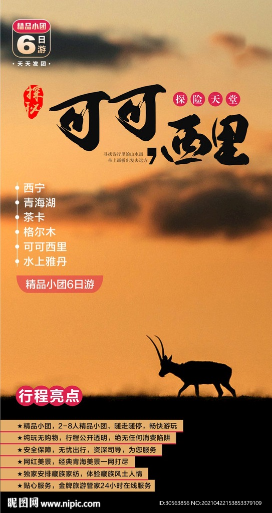 探秘可可西里