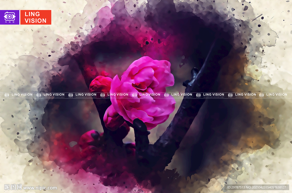 梅花图片