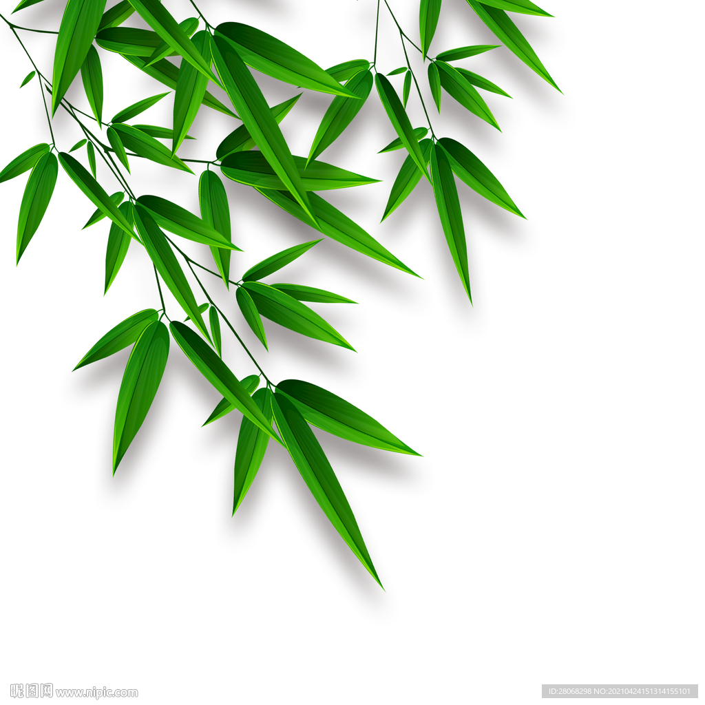 端午节装饰叶子元素