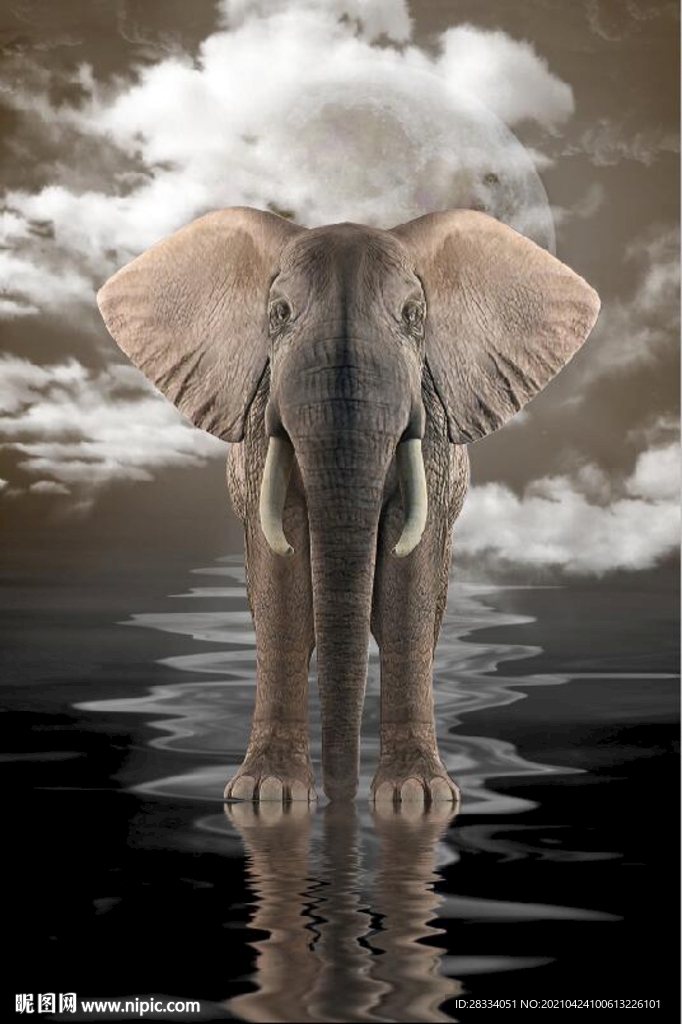 现代轻奢大象倒影玄关装饰画