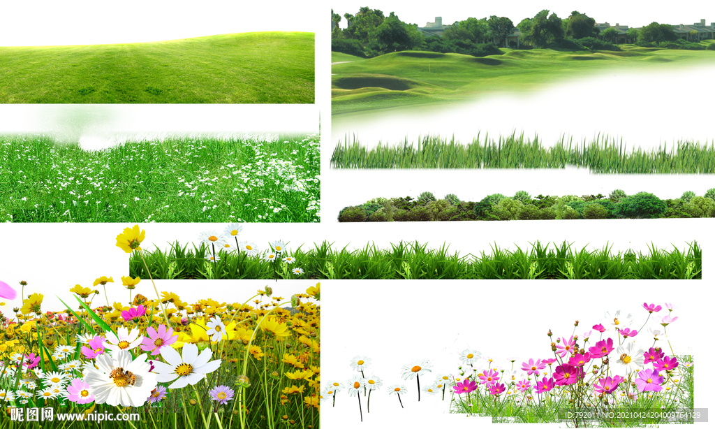 园林花草素材