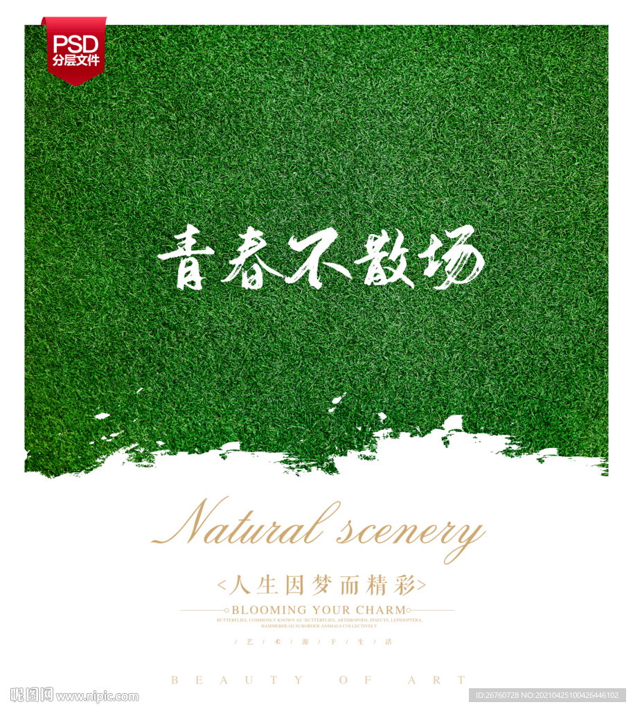 草坪