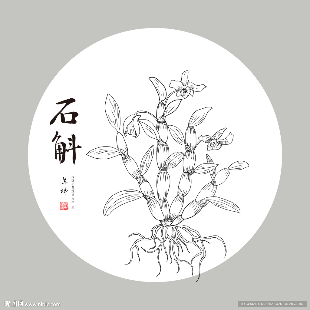 手绘石斛