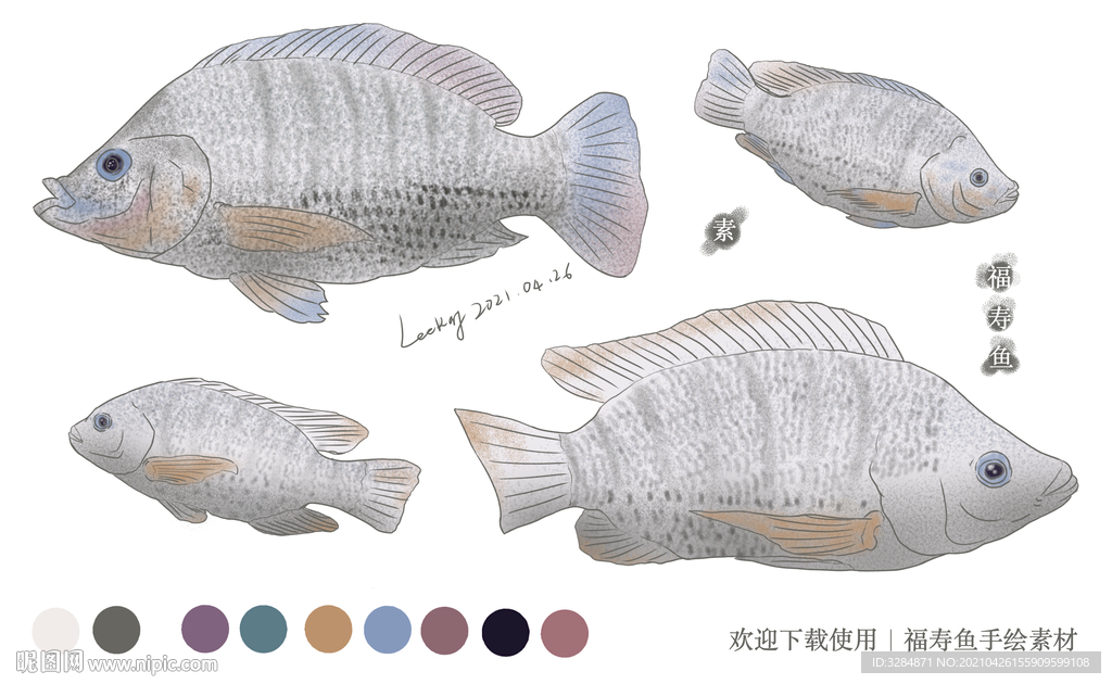 福寿鱼手绘素材