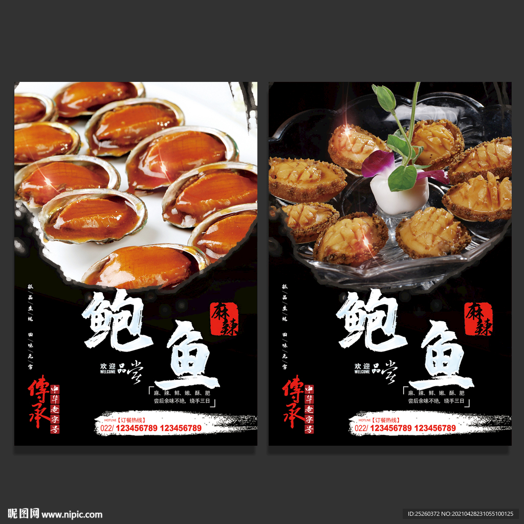 鲍鱼