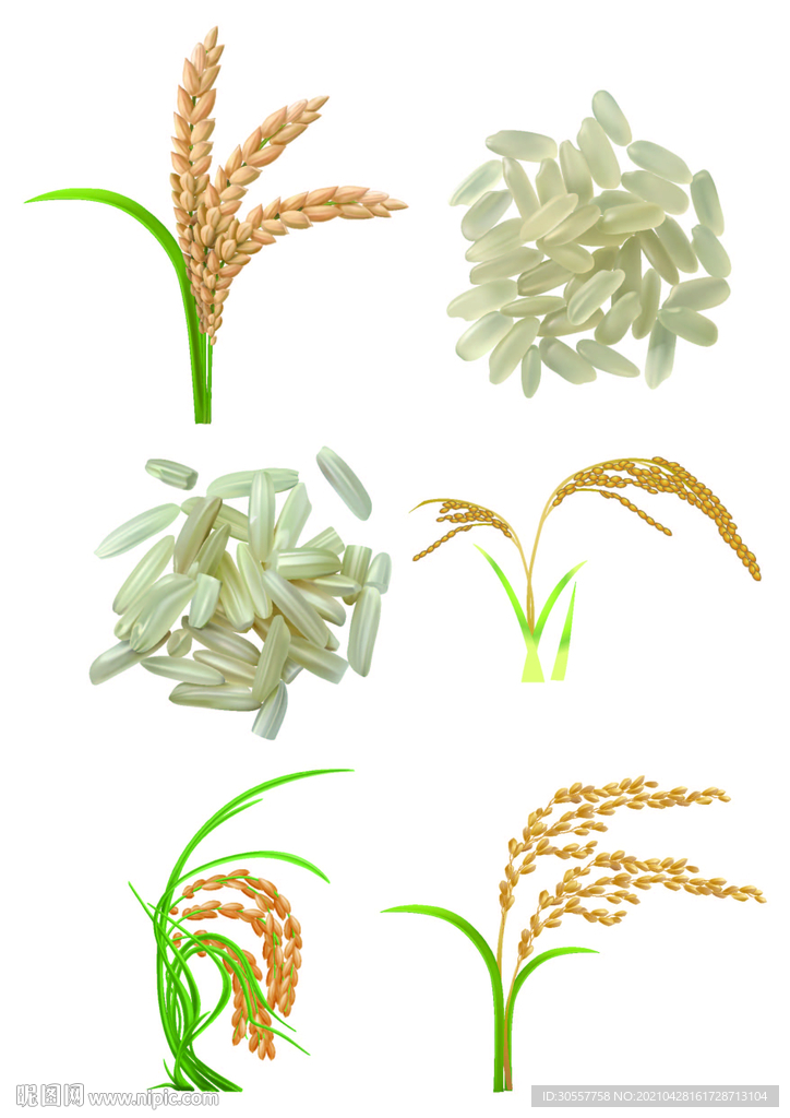 失量农作物