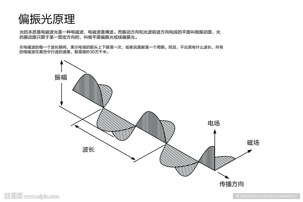偏振光原理电磁波横波波粒二象性