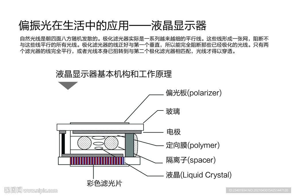 液晶显示器基本结构原理偏振光